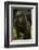 Rwanda. Juvenile mountain gorilla at Volcanoes National Park.-Ralph H. Bendjebar-Framed Photographic Print