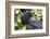 Rwanda, Volcanoes National Park, Ruhengeri, Kinigi. Mountain gorilla.-Emily Wilson-Framed Photographic Print