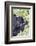 Rwanda, Volcanoes National Park, Ruhengeri, Kinigi. Mountain gorilla.-Emily Wilson-Framed Photographic Print