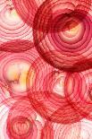 Red Onion Segments-Ryan Matthew Smith-Mounted Photographic Print