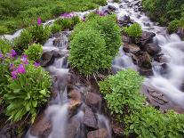 Fairy Falls in the Columbia River Gorge Outside of Portland, Or-Ryan Wright-Photographic Print