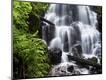 Photographic Print
