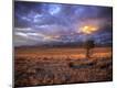 Photographic Print