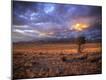 Photographic Print