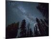Photographic Print