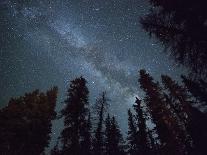 The Milky Way Shines Above the Forest in the San Juan Mountains of Southern Colorado.-Ryan Wright-Photographic Print