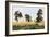 Rye Field, 1878-Ivan Shishkin-Framed Giclee Print