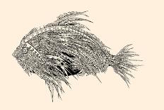 Anatomy of a Fish. Robot Spiked Fish.-RYGER-Art Print