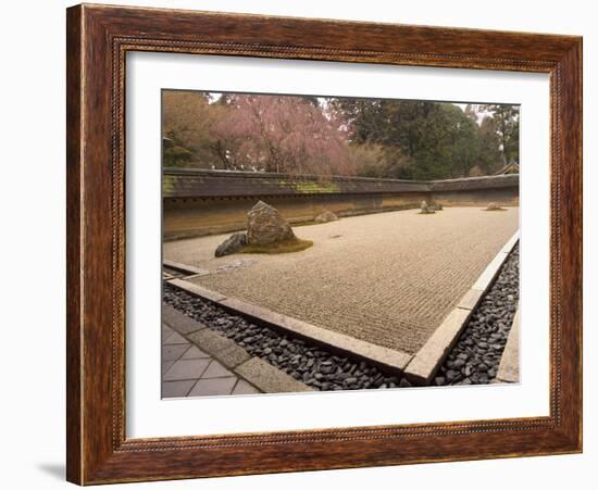 Ryoanji Temple, Dry Stone Garden and Blossom, Kyoto City, Honshu Island, Japan-Christian Kober-Framed Photographic Print