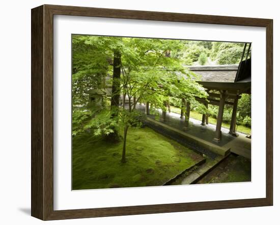 Ryoanji Temple Moss Garden, Ryoan-Ji Temple, Unesco World Heritage Site, Kyoto City, Honshu, Japan-Christian Kober-Framed Photographic Print