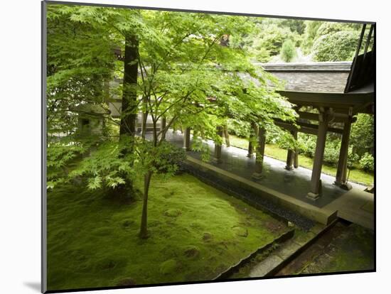 Ryoanji Temple Moss Garden, Ryoan-Ji Temple, Unesco World Heritage Site, Kyoto City, Honshu, Japan-Christian Kober-Mounted Photographic Print