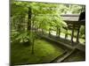 Ryoanji Temple Moss Garden, Ryoan-Ji Temple, Unesco World Heritage Site, Kyoto City, Honshu, Japan-Christian Kober-Mounted Photographic Print