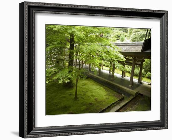 Ryoanji Temple Moss Garden, Ryoan-Ji Temple, Unesco World Heritage Site, Kyoto City, Honshu, Japan-Christian Kober-Framed Photographic Print