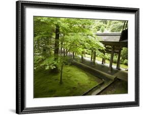 Ryoanji Temple Moss Garden, Ryoan-Ji Temple, Unesco World Heritage Site, Kyoto City, Honshu, Japan-Christian Kober-Framed Photographic Print