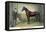 Rysdyk's Hambletonian-Currier & Ives-Framed Stretched Canvas