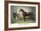 Rysdyk's Hambletonian-Currier & Ives-Framed Art Print