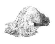 Abstract White Creature on a Rock-Ryuichirou Motomura-Art Print