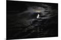 Premium Photographic Print