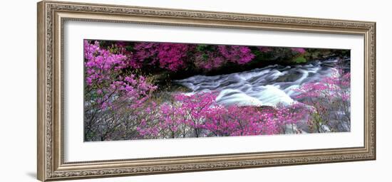 Ryuzu Falls Tochigi Japan-null-Framed Photographic Print