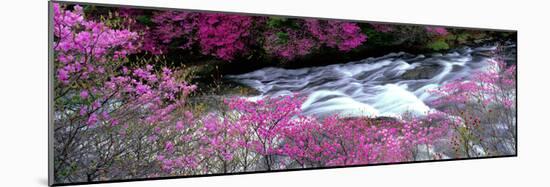 Ryuzu Falls Tochigi Japan-null-Mounted Photographic Print