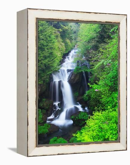 Ryuzu Water Falls-null-Framed Premier Image Canvas