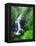 Ryuzu Water Falls-null-Framed Premier Image Canvas