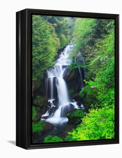 Ryuzu Water Falls-null-Framed Premier Image Canvas