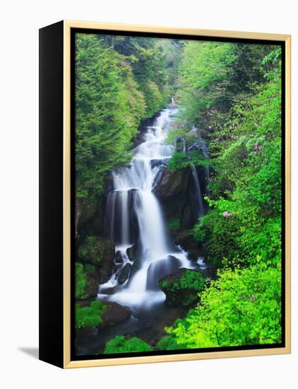 Ryuzu Water Falls-null-Framed Premier Image Canvas