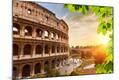 Premium Photographic Print