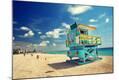 Photographic Print