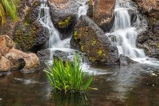 Scenic Tropical Waterfall on the Island of Maui Hawaii-S Cosens-Photographic Print