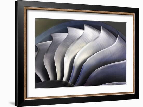 S-curve Fan Blades-Mark Williamson-Framed Photographic Print