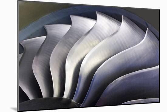 S-curve Fan Blades-Mark Williamson-Mounted Photographic Print