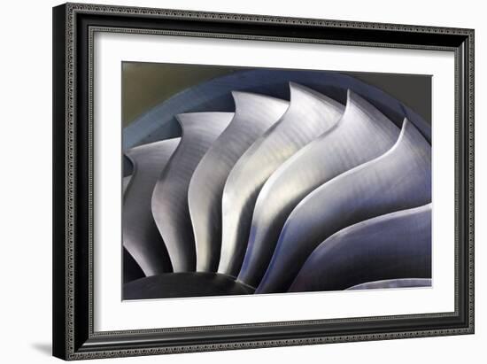 S-curve Fan Blades-Mark Williamson-Framed Photographic Print