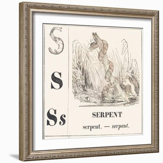 S for Serpent, 1850 (Engraving)-Louis Simon (1810-1870) Lassalle-Framed Giclee Print