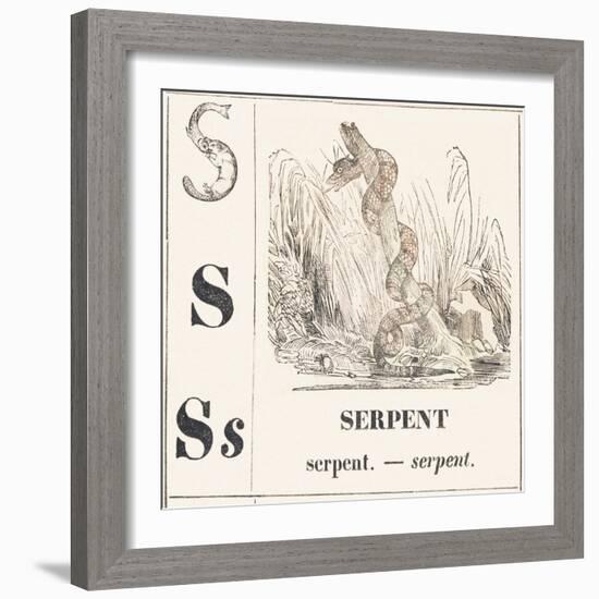 S for Serpent, 1850 (Engraving)-Louis Simon (1810-1870) Lassalle-Framed Giclee Print