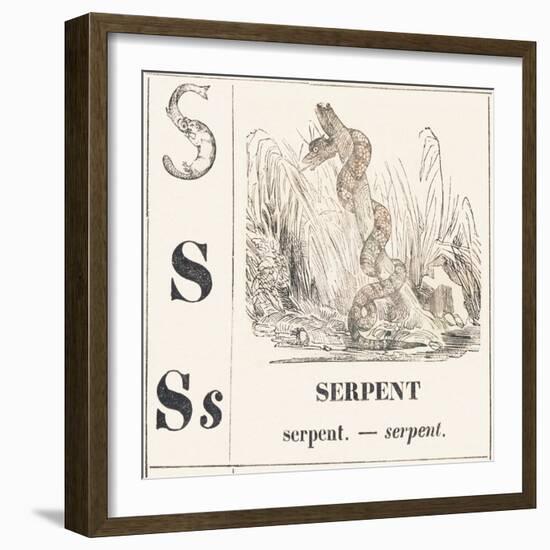 S for Serpent, 1850 (Engraving)-Louis Simon (1810-1870) Lassalle-Framed Giclee Print