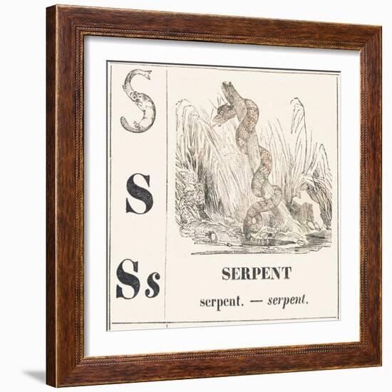 S for Serpent, 1850 (Engraving)-Louis Simon (1810-1870) Lassalle-Framed Giclee Print