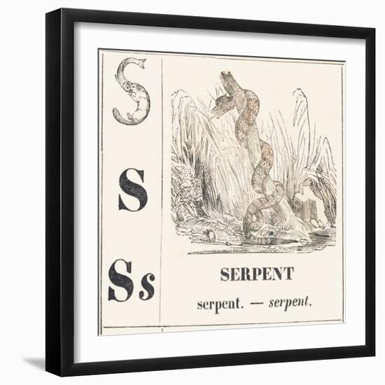 S for Serpent, 1850 (Engraving)-Louis Simon (1810-1870) Lassalle-Framed Giclee Print