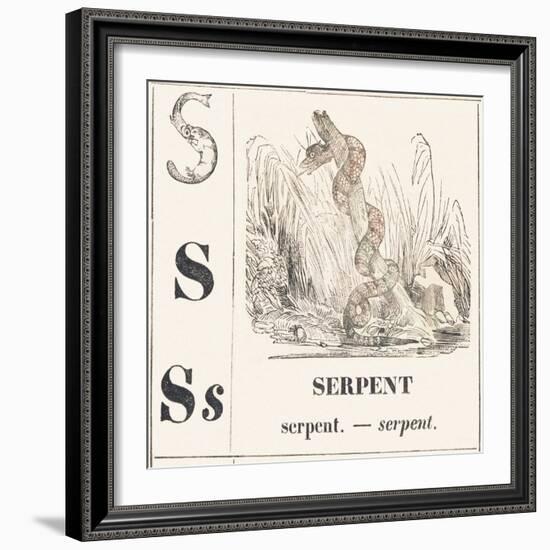 S for Serpent, 1850 (Engraving)-Louis Simon (1810-1870) Lassalle-Framed Giclee Print