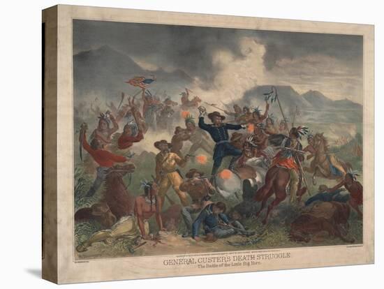 Stretched Canvas Print, , large