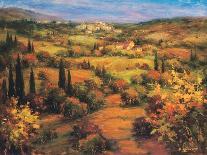 Umbria Panorama-S. Hinus-Art Print
