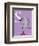 S is for Seal (purple)-Theodor (Dr. Seuss) Geisel-Framed Art Print