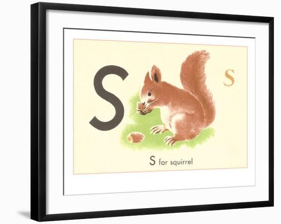 S is for Squirrel-null-Framed Art Print