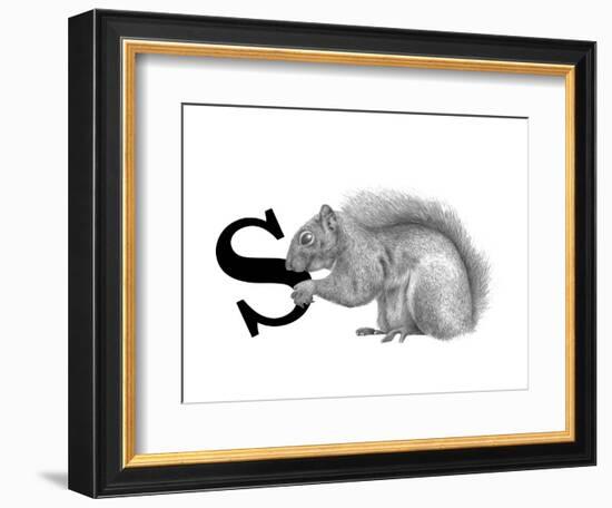 S is for Squirrel-Stacy Hsu-Framed Art Print