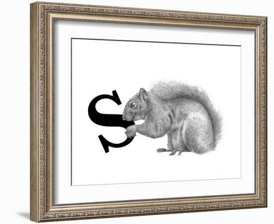 S is for Squirrel-Stacy Hsu-Framed Art Print