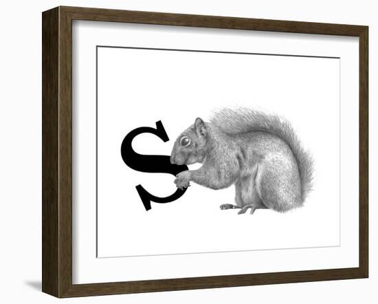 S is for Squirrel-Stacy Hsu-Framed Art Print