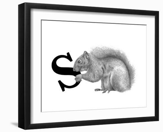 S is for Squirrel-Stacy Hsu-Framed Art Print