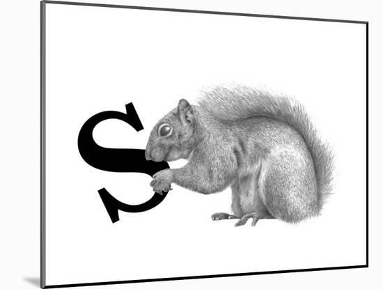 S is for Squirrel-Stacy Hsu-Mounted Art Print