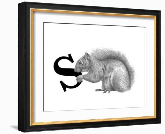 S is for Squirrel-Stacy Hsu-Framed Art Print